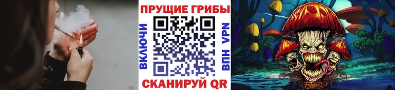 Псилоцибиновые грибы Magic Shrooms  Псков 