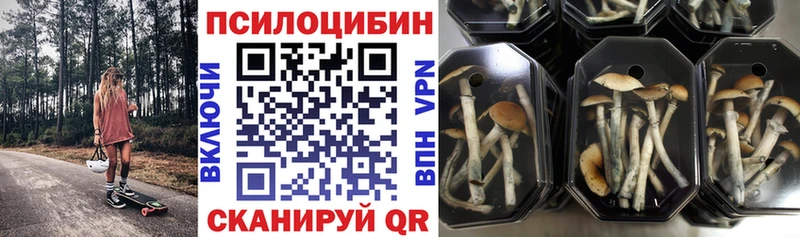 Галлюциногенные грибы GOLDEN TEACHER Псков